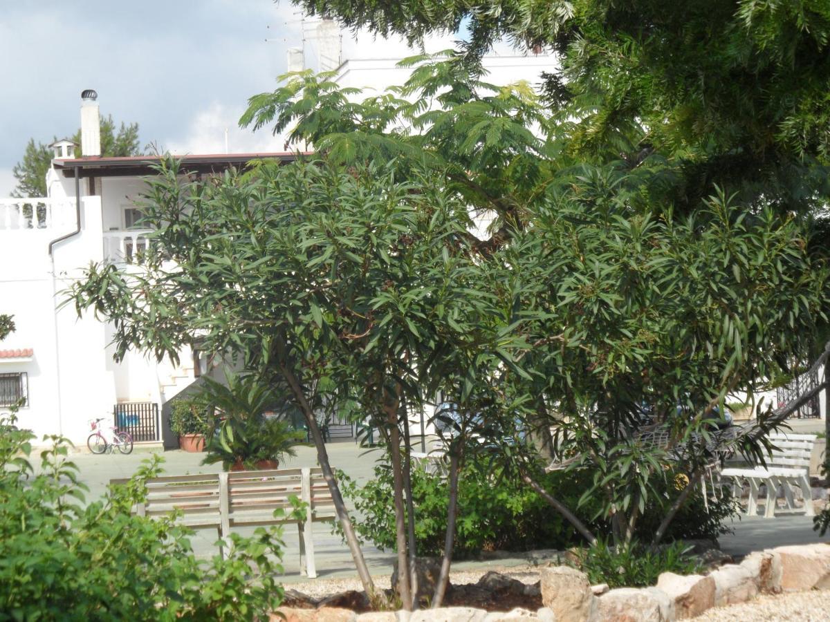 Azienda Agrituristica Masseria Campi San Vito dei Normanni Dış mekan fotoğraf