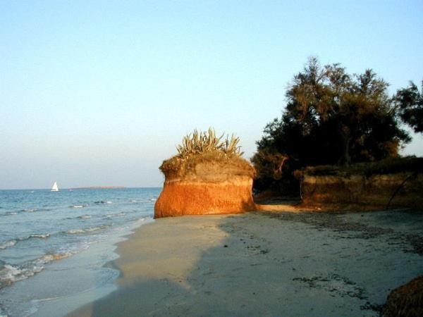 Azienda Agrituristica Masseria Campi San Vito dei Normanni Dış mekan fotoğraf