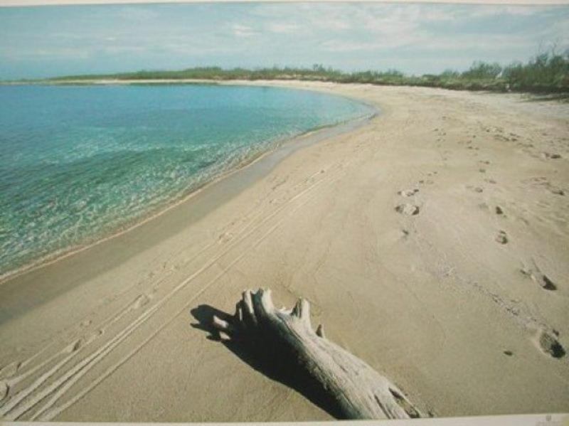 Azienda Agrituristica Masseria Campi San Vito dei Normanni Dış mekan fotoğraf