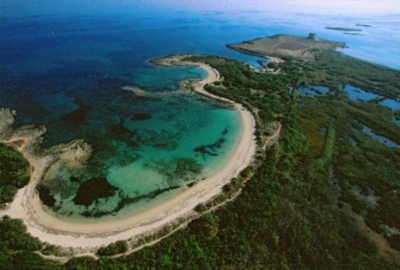 Azienda Agrituristica Masseria Campi San Vito dei Normanni Dış mekan fotoğraf
