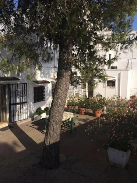 Azienda Agrituristica Masseria Campi San Vito dei Normanni Dış mekan fotoğraf